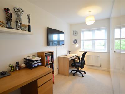 Picture 13